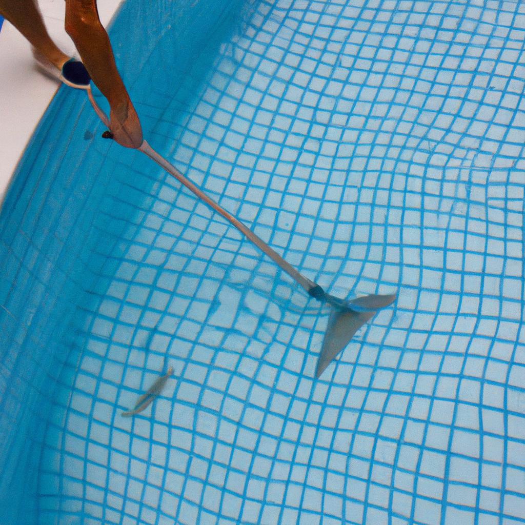 Person cleaning a swimming pool
